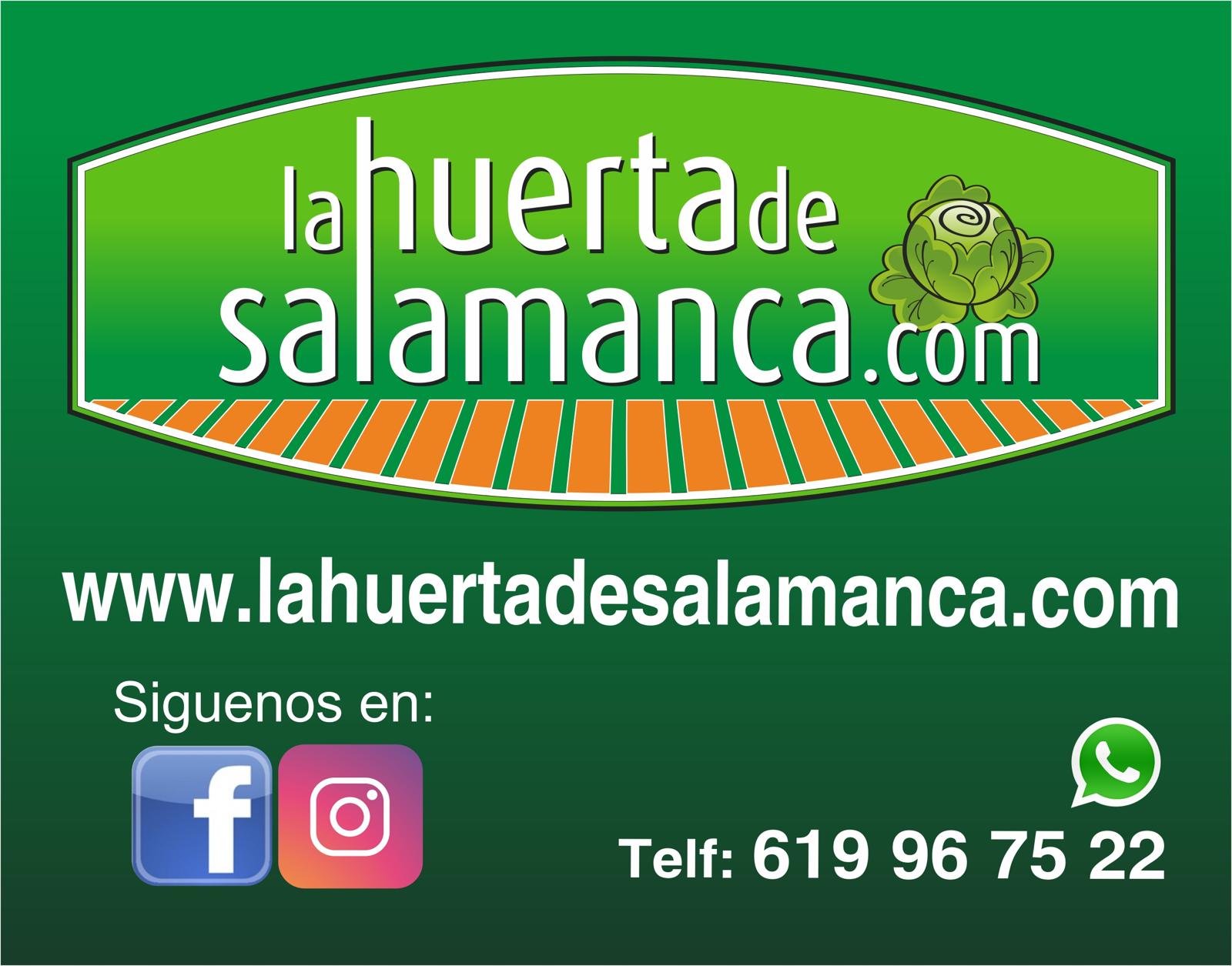 La Huerta de Salamanca 2024